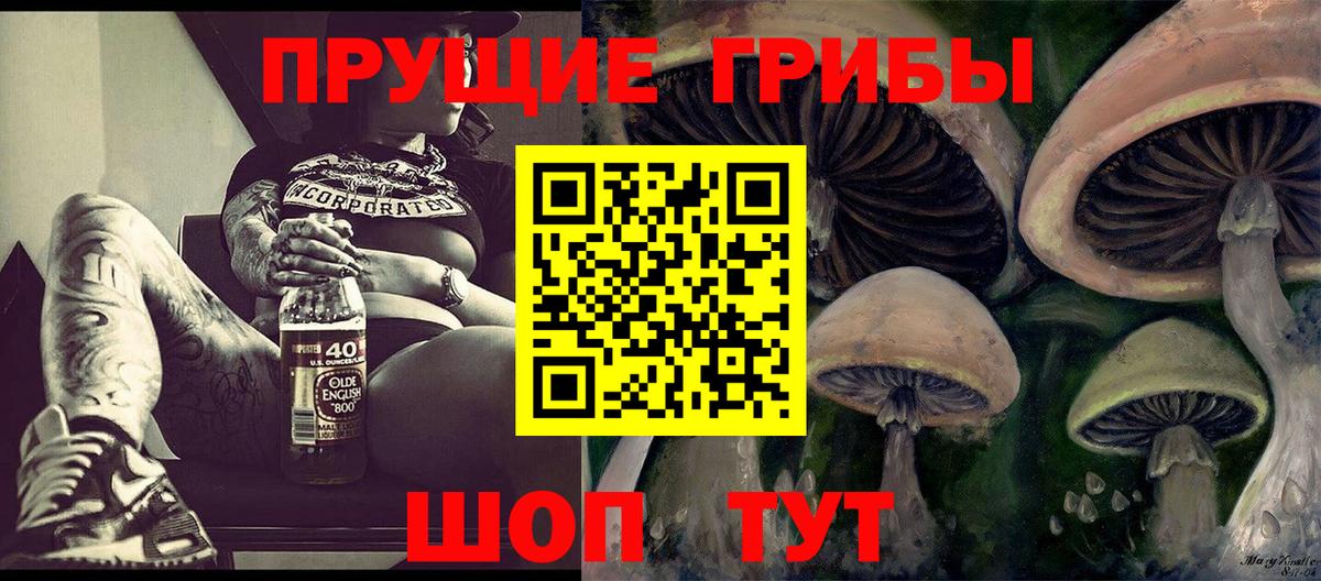 Псилоцибиновые грибы Cubensis Новочебоксарск