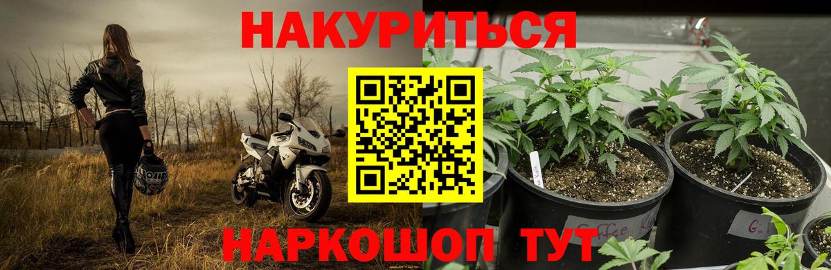 Каннабис VHQ Новочебоксарск